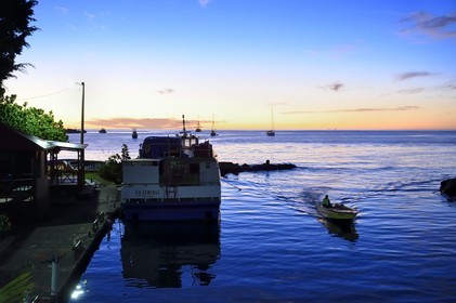 Caribbean, Dominica Island, Portsmouth, the Indian River estuary