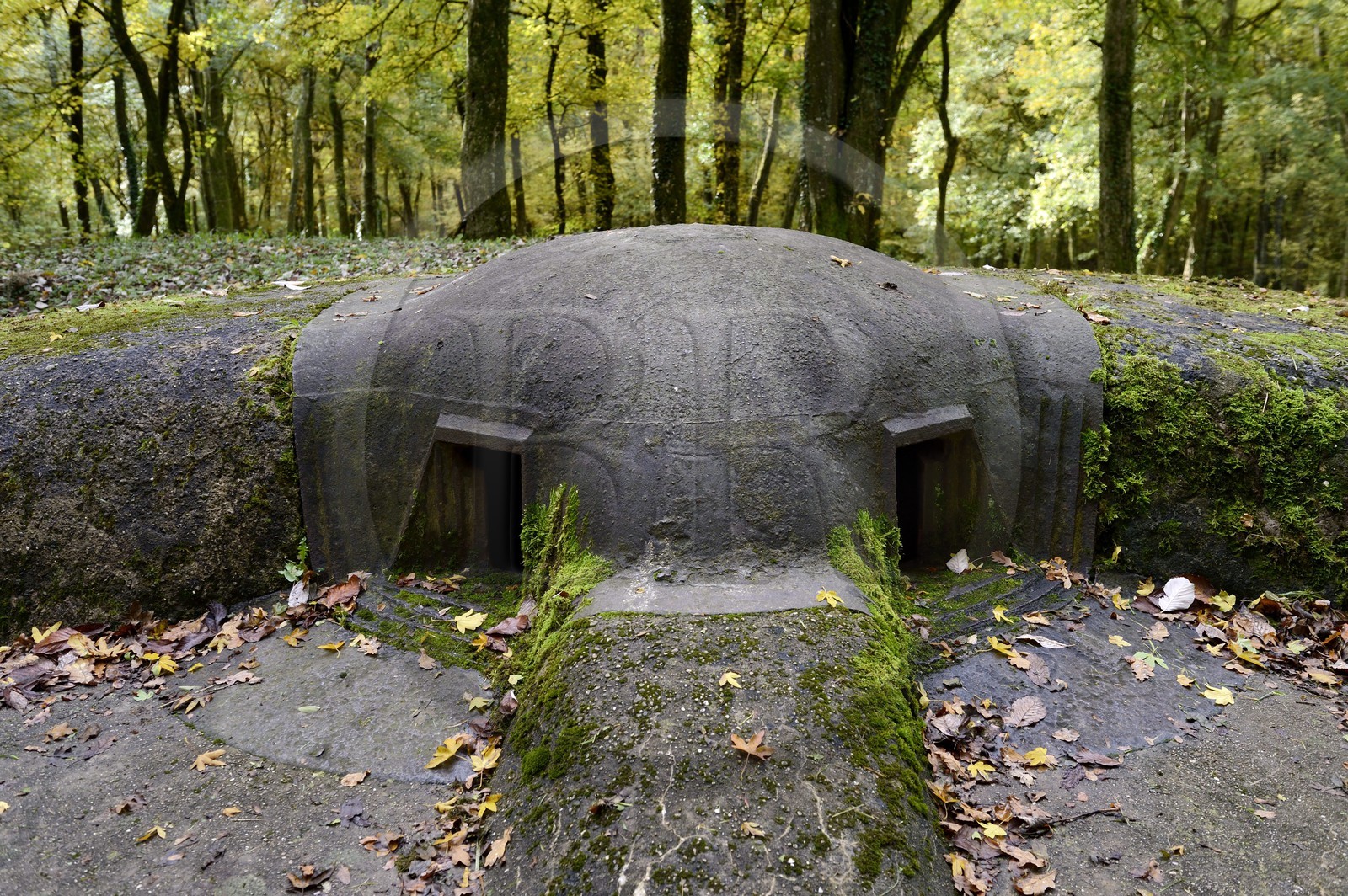 France, Meuse (55), région de Douaumont, bataille de Verdun, le Fort de Souville, la casemate Pamard
