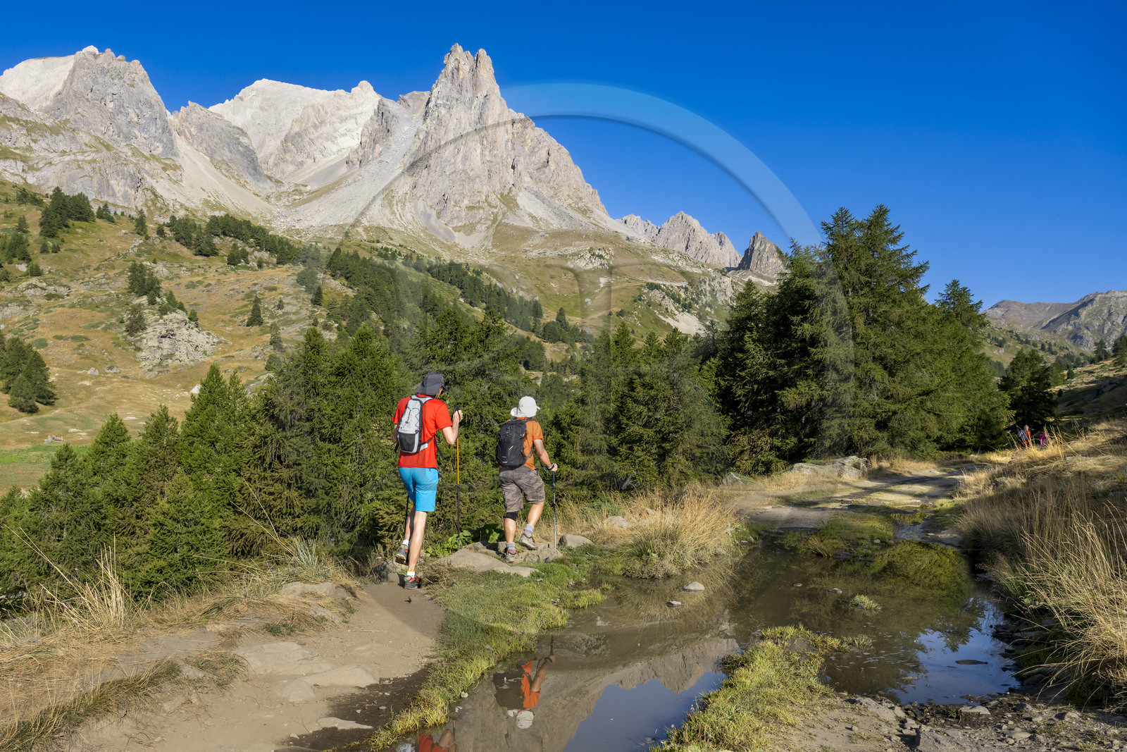 France, Hautes Alpes (05), le Briançonnais, Névache, randonneurs dans la vallée de la Clarée, le massif des Cerces et les pointes de la Main de Crépin (2942m) en arrière-plan