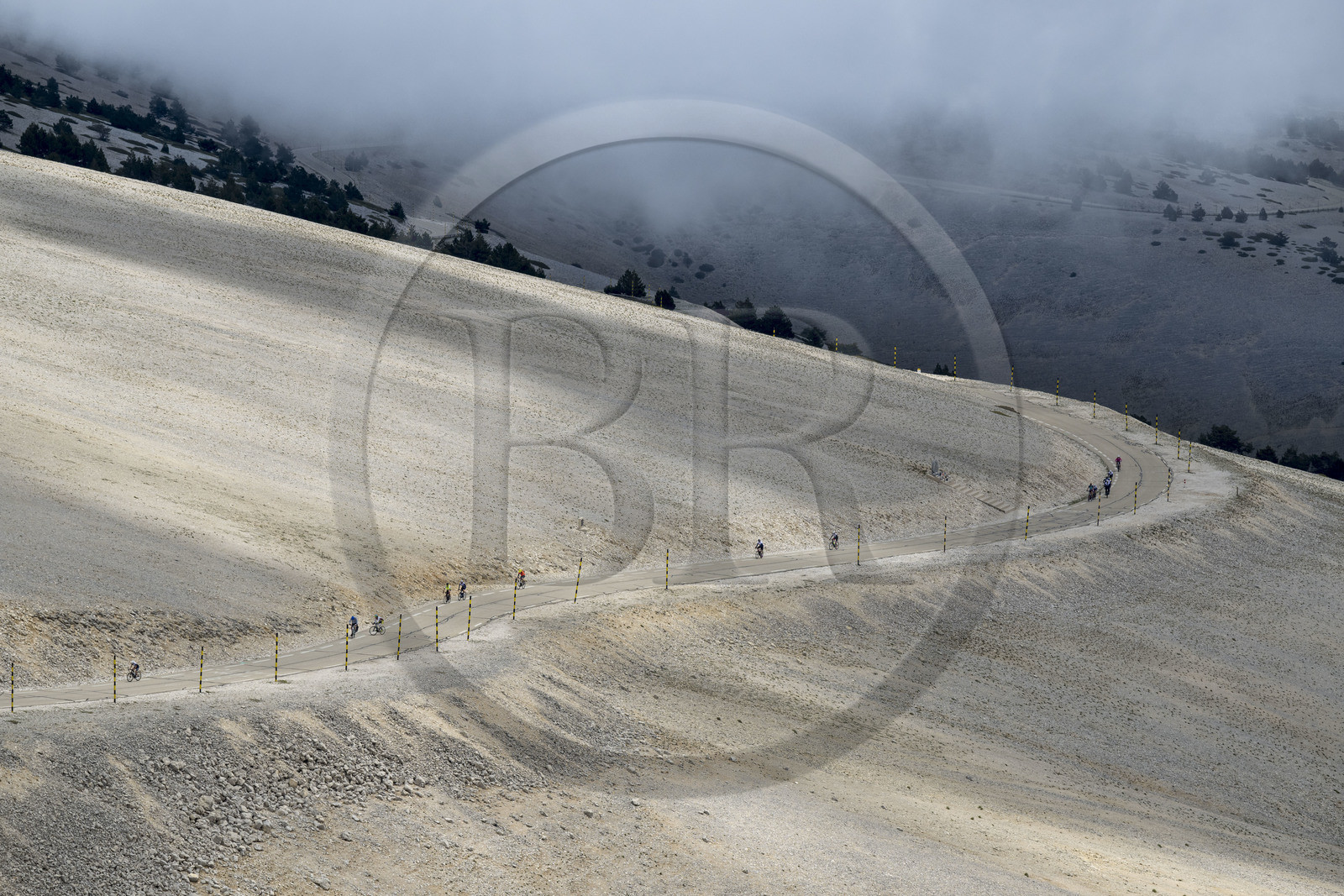 France, Vaucluse (84), Parc Naturel Régional du Mont Ventoux, Bedoin, ascension à vélo du Mont Ventoux par la route D974 sur le versant sud vers le sommet
