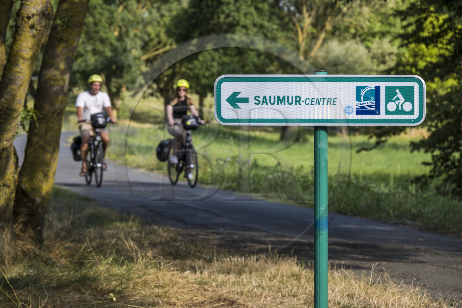 France, Maine-et-Loire (49), vallée de la Loire classée au Patrimoine Mondial par l'UNESCO, Saumur, randonnée à bicyclette sur les berges de la Loire, panneau de signalisation de La Loire à Vélo