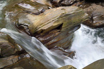 France, Hautes Pyrenees, Saint Lary Soulan, Rioumajou valley, the river Neste de Rioumajou