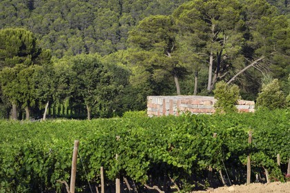 France, Bouches du Rhone,  Le Puy Sainte Reparade, Chateau La Coste vineyard and contemporary art center, Wall of Light Cubed by artist Sean Scully (Compulsory Mention)
