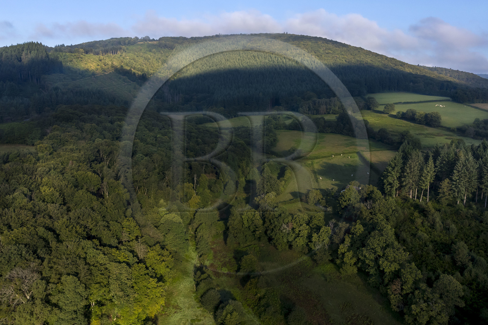 France, Saône-et-Loire (71), parc naturel régional du Morvan, Saint-Léger-sous-Beuvray, le mont Beuvray sur lequel se trouve l'oppidum de Bibracte, capitale du peuple celte des Éduens (vue aérienne)