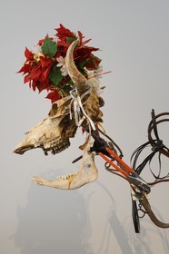 Suisse, Bâle, musée Tinguely