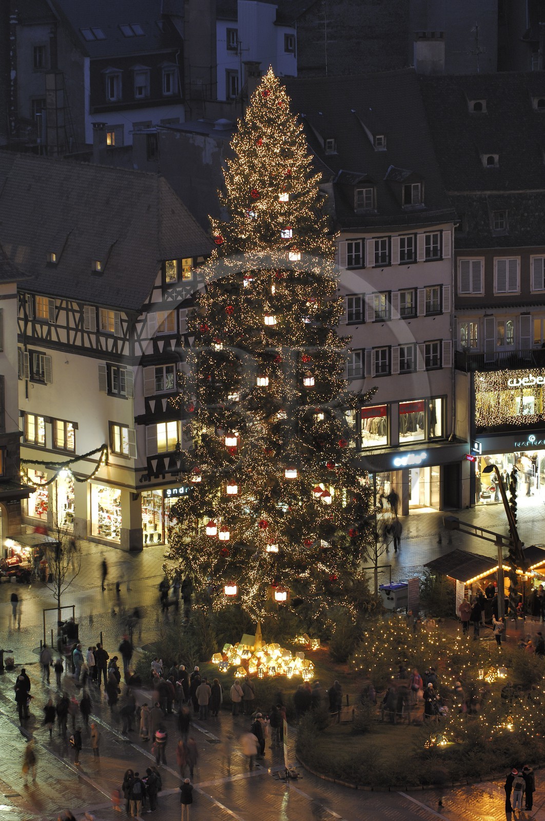France, Bas Rhin (67), Strasbourg, le Grand Sapin de Noel de la place Kleber