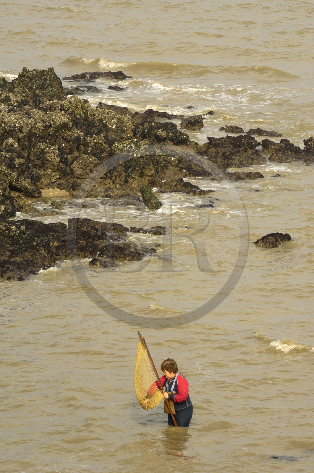 France, Charente-Maritime (17), Ile d'Aix, pêche à la treuille (pour les crevettes) plage des Sables Jaunes