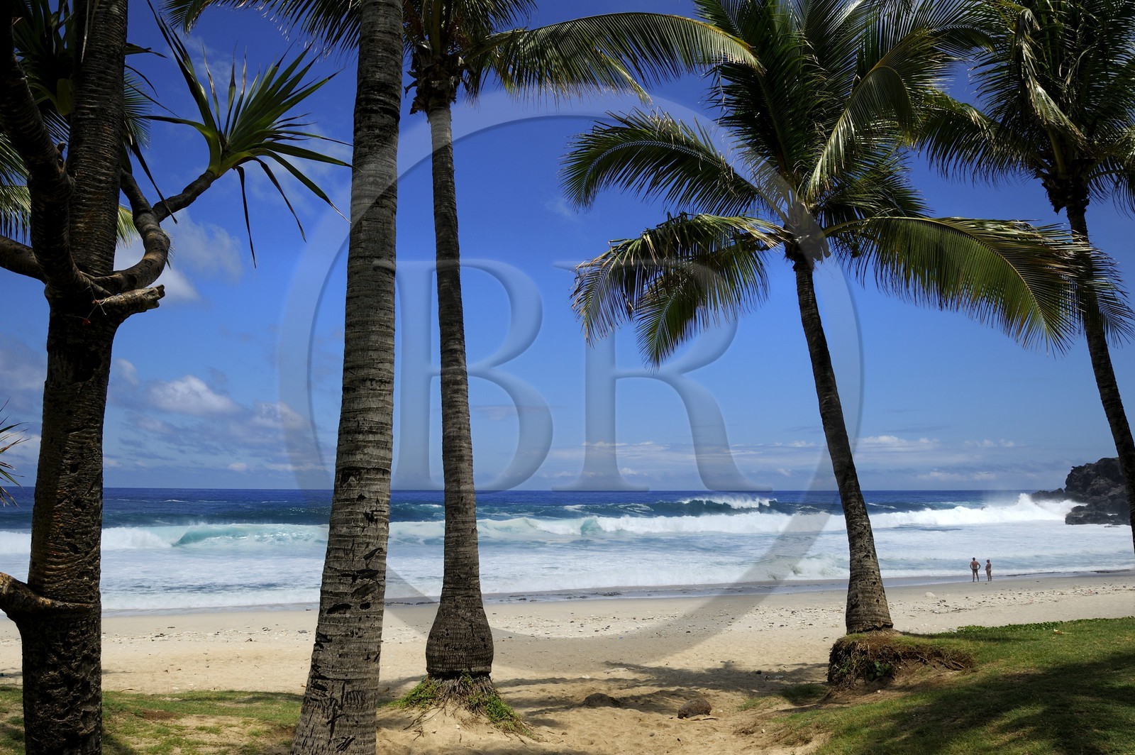 France, île de la Réunion, la côte sud, plage de Grand-Anse