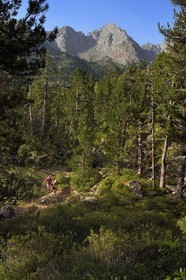 France, Hautes-Pyrénées (65), Saint-Lary-Soulan et Aragnouet, Réserve naturelle nationale du Néouvielle, randonnée des lacs du Neouvielle, randonneurs montant aux lacs des Laquettes