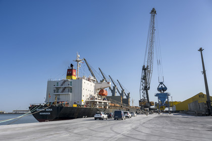 France, Charente-Maritime (17), La Rochelle, le Port Atlantique La Rochelle, port de commerce La Pallice, déchargement d'un cargo sur les quais du mole d'escale