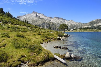 France, Hautes-Pyrénées (65), Saint-Lary-Soulan et Vielle-Aure, Réserve naturelle nationale du Néouvielle, randonnée des lacs du Neouvielle, lac d'Aumar et le pic de Néouvielle en arrière plan
