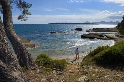 France, Alpes-Maritimes (06), Cannes, Iles de Lérins, Ile Sainte-Marguerite, la côte sud fait face à l'Ile de Saint-Honorat, le massif de l'Esterel en arrière plan