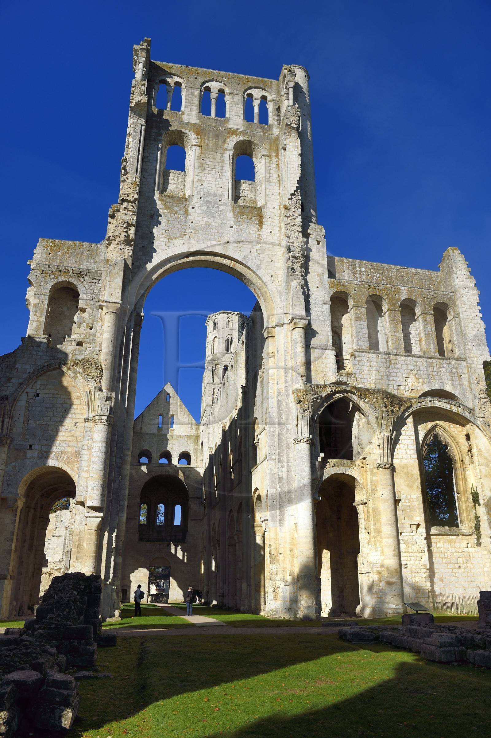 France, Seine-Maritime (76), Pays de Caux, Parc naturel régional des Boucles de la Seine normande, Jumièges, abbaye Saint-Pierre de Jumièges fondée au VIIe siècle