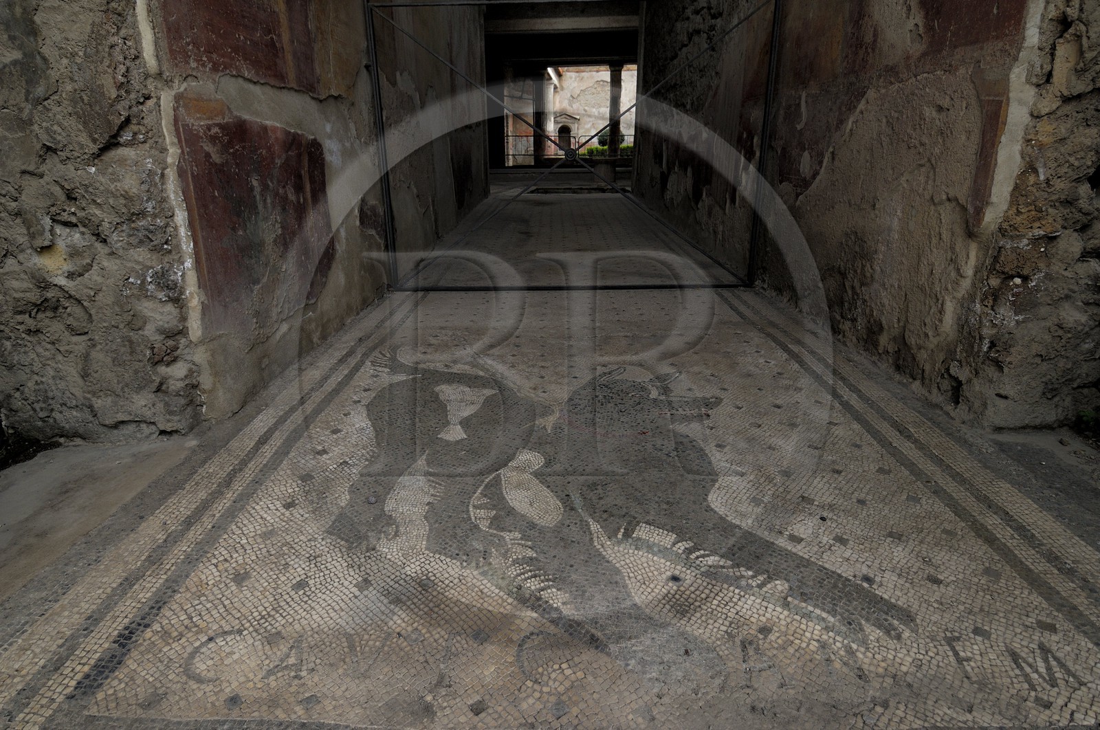 Italy, Campania, Pompei, archeological site listed as World Heritage by UNESCO, house of the Tragic Poet, the mosaic Cave Canem (beware of the dog)