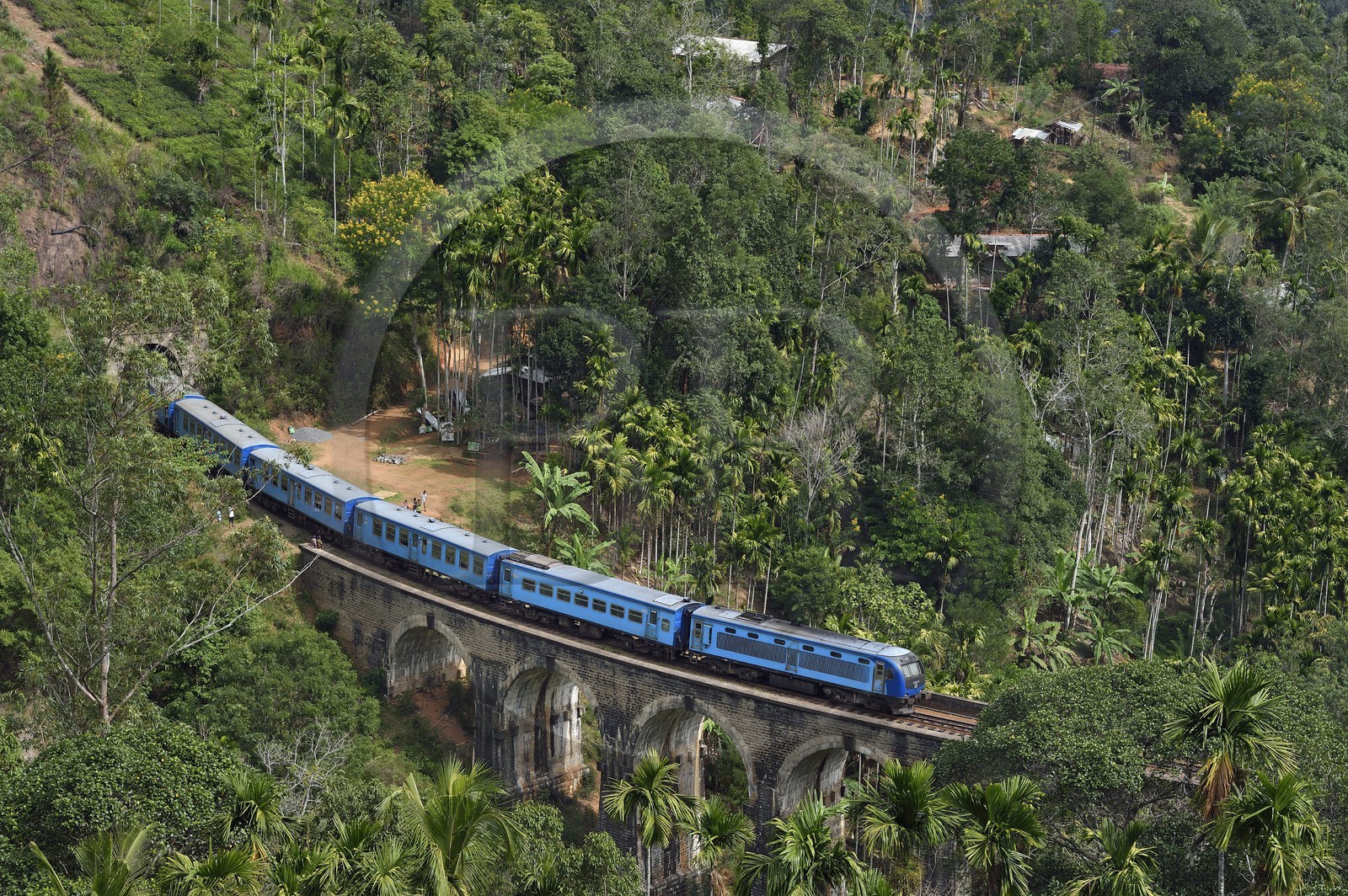 Sri Lanka, Province d'Uva, train sur la voie de chemin de fer dans la région montagneuse de la culture du thé entre Badulla et Ella, le Pont aux Neuf Arches (1921) non loin de Ella