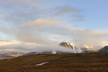Norway, Svalbard (Spitzbergen), tundra in the region of Longyearbyen