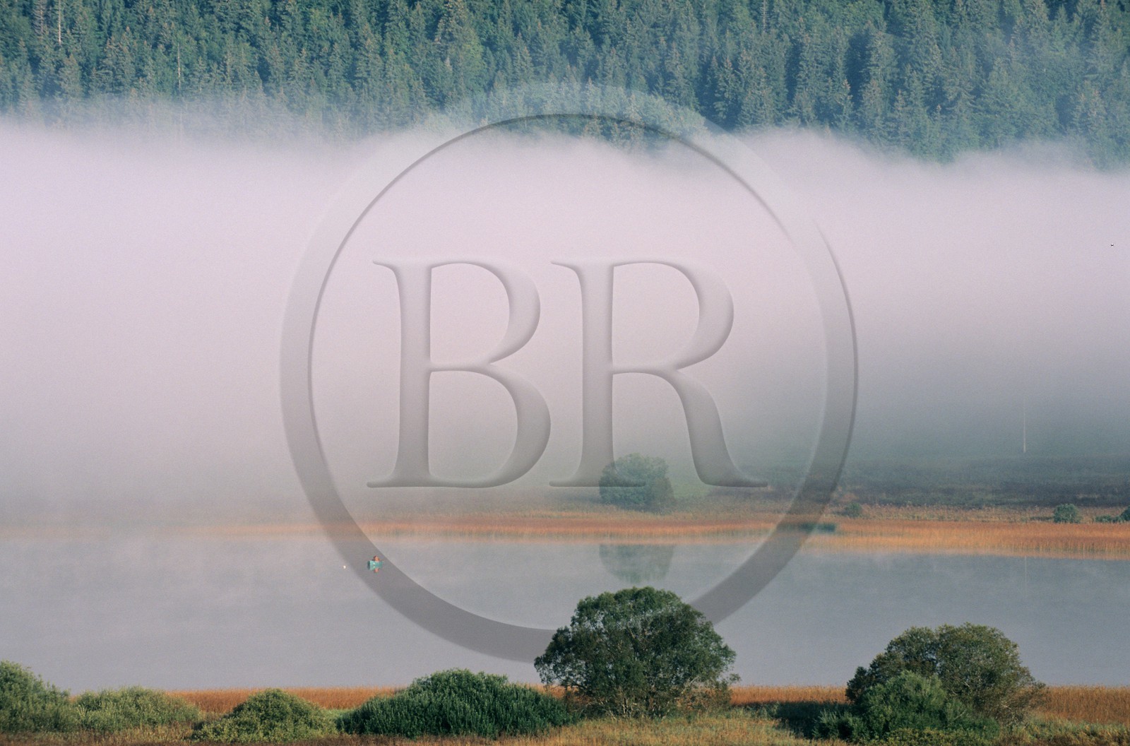 France, Doubs, fishermen on the Saint Point lake in the early morning mist