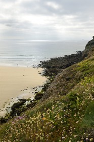 France, Finistère (29),  Mer d'Iroise, Plogoff, plage de la baie des Trépassés