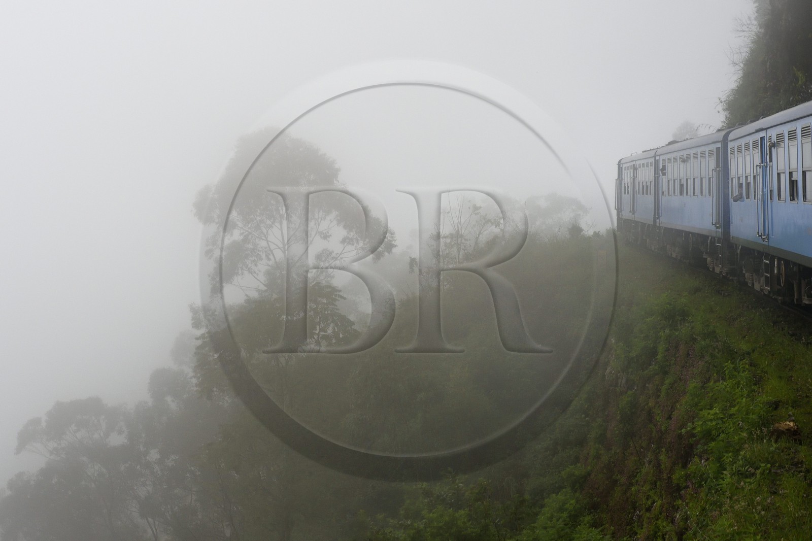 Sri Lanka, Uva Province, the popular scenic train ride through the tea growing hill country between Hatton and Badulla, next to the Horton Plains National Park cloud forest