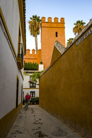 Spain, Andalusia, Sevilla, alley of the old Jewish quarter (Juderia) on the edge of the Alcazar in the Santa Cruz district