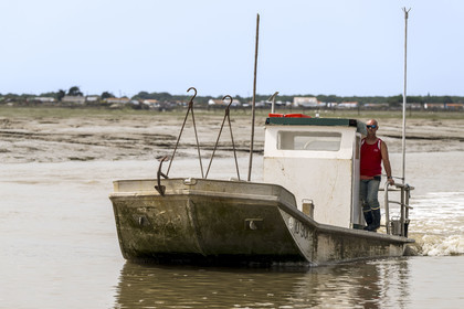 France, Charente-Maritime (17), Ile d'Oléron, Dolus-d’Oléron, barge ostréicole dans le chenal d’Arceau