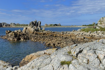 France, Cotes-d'Armor, Cote d'Ajoncs, Plougrescant, Pors Scaff cove