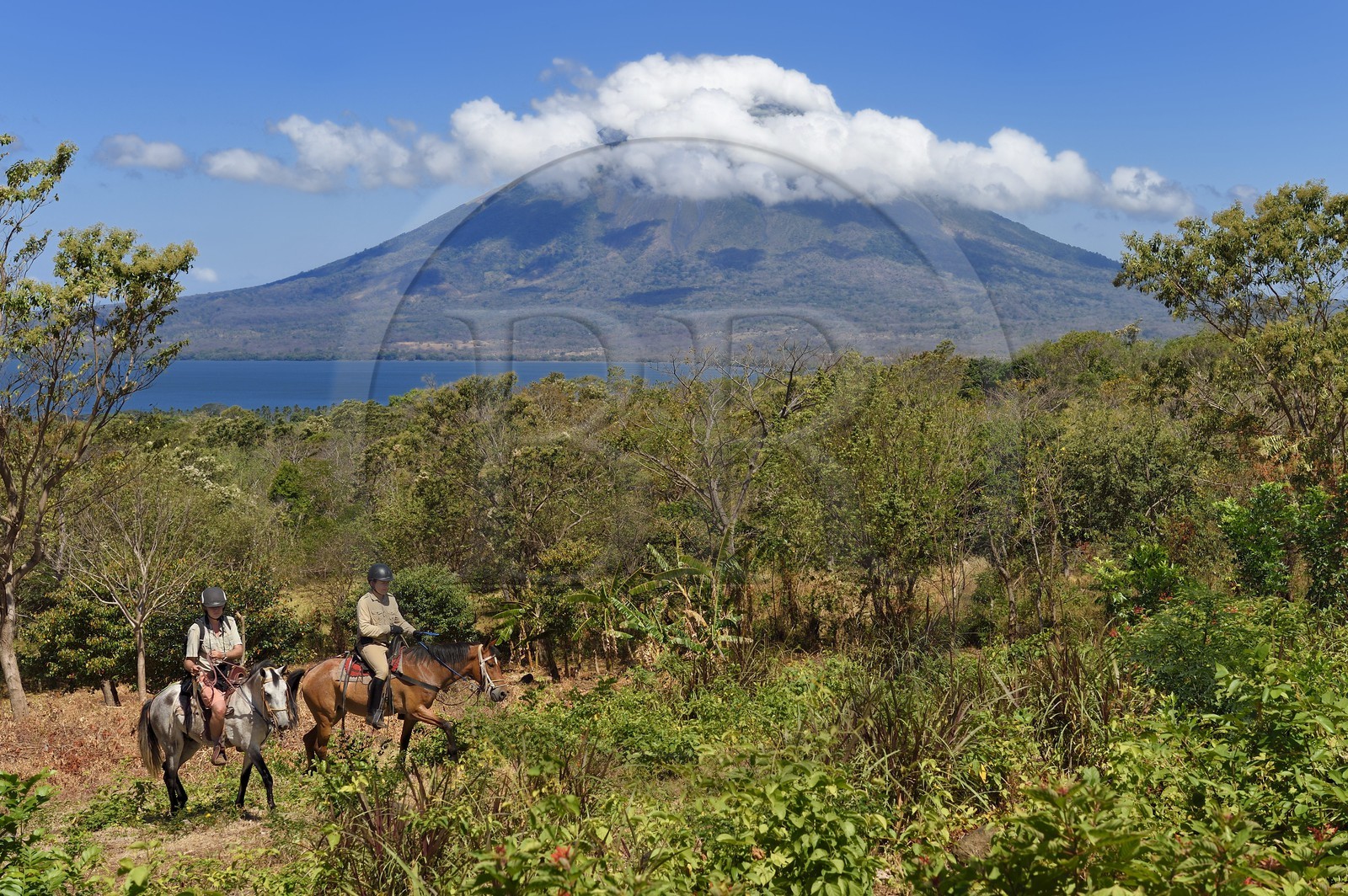 Nicaragua, Ometepe Island in Lake Nicaragua, riders trekking and the Conception volcano (1610 m) still active in the background