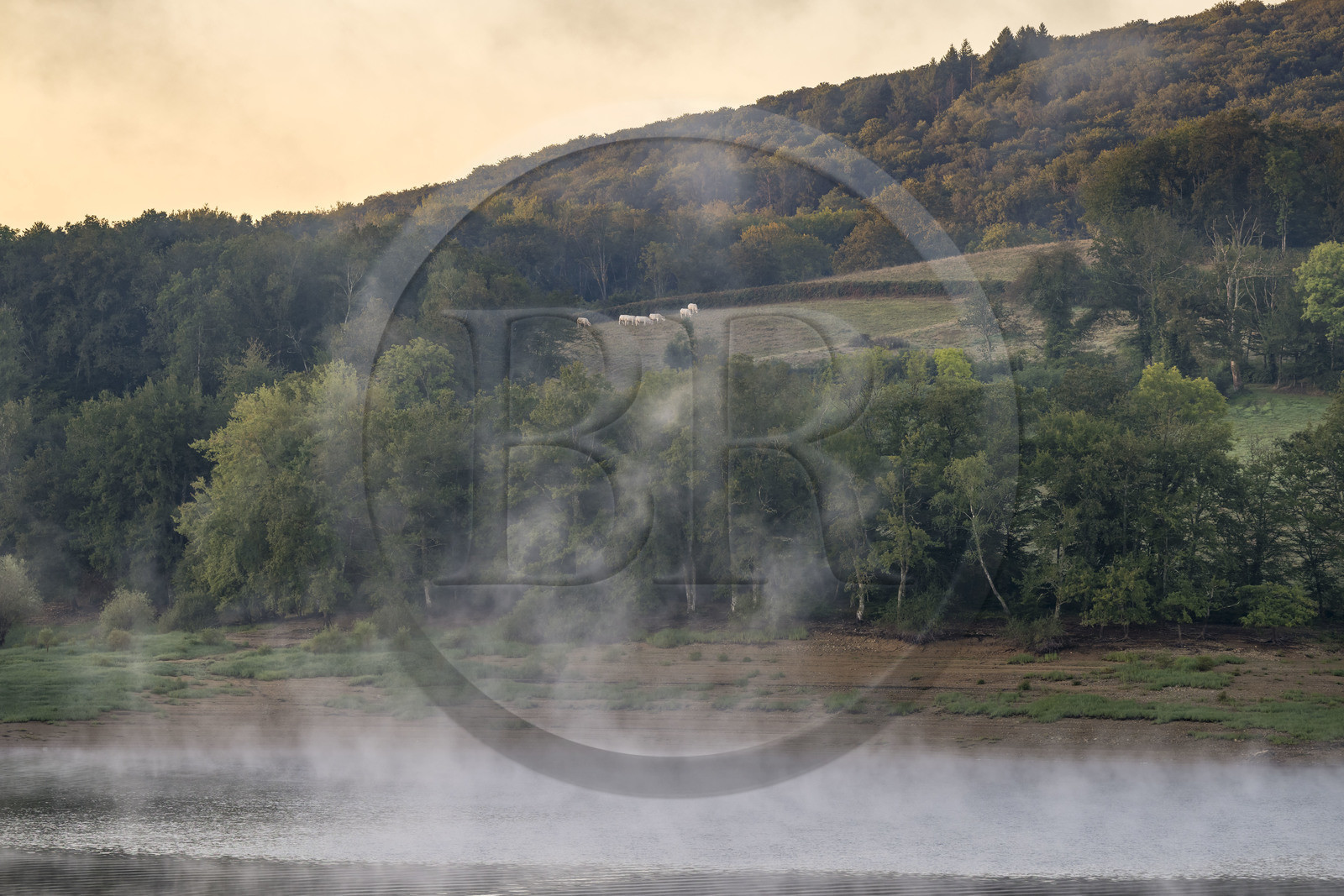 France, Nièvre (58), Parc naturel régional du Morvan, Chaumard, lac de Pannecière  dans la brume du petit matin