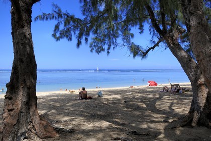 France, Ile de la Reunion, Cote Ouest, Etang-Salé les bains, l'arrière-plage est boisée de filaos