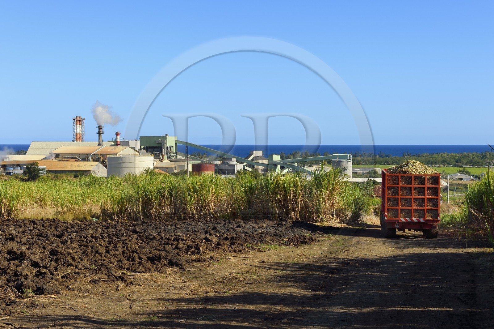 France, Reunion island (French overseas department), Saint-Louis, Le Gol sugar factory behind the sugar cane fields
