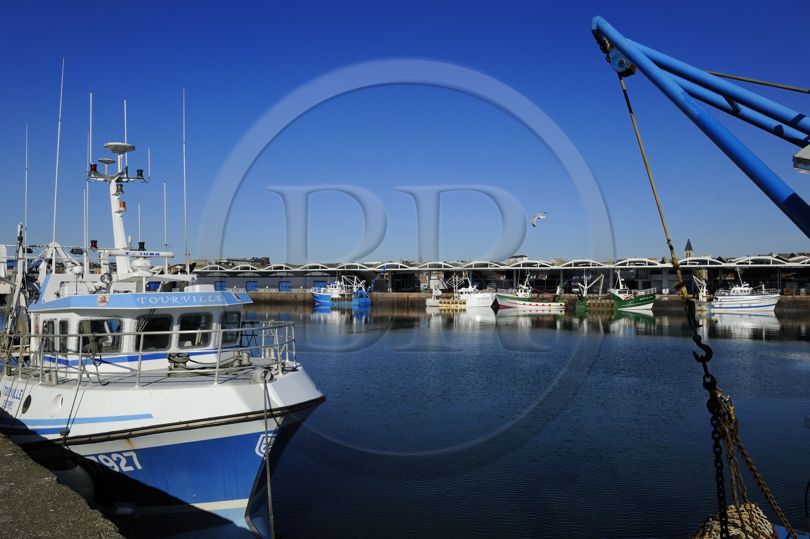 France, Seine-Maritime (76), Dieppe, le port de pêche