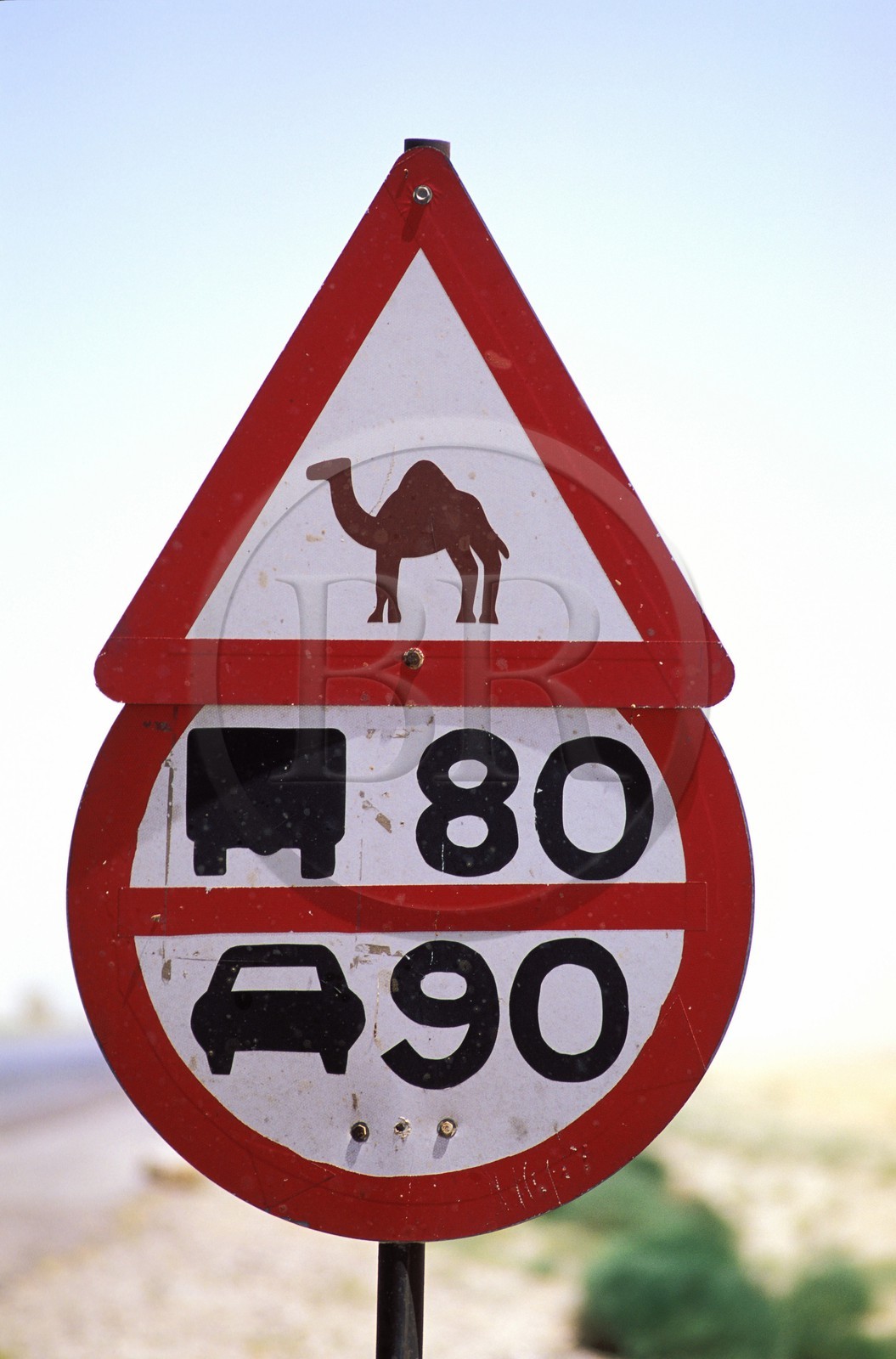 Jordan, Petra, a road prohibited for camels