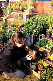 France, Essonne (91), château de Courson, 2 fois par an a lieu une ìgrande journée des plantes