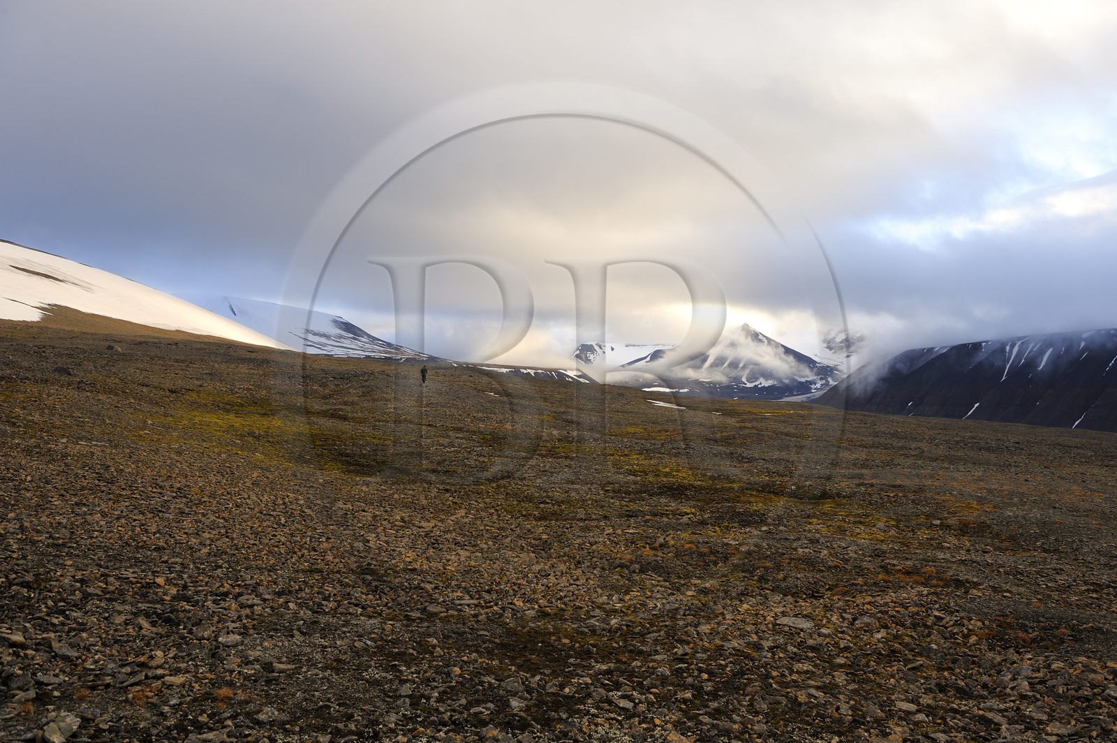 Norvège, Svalbard (Spitzberg), toundra dans la région de Longyearbyen