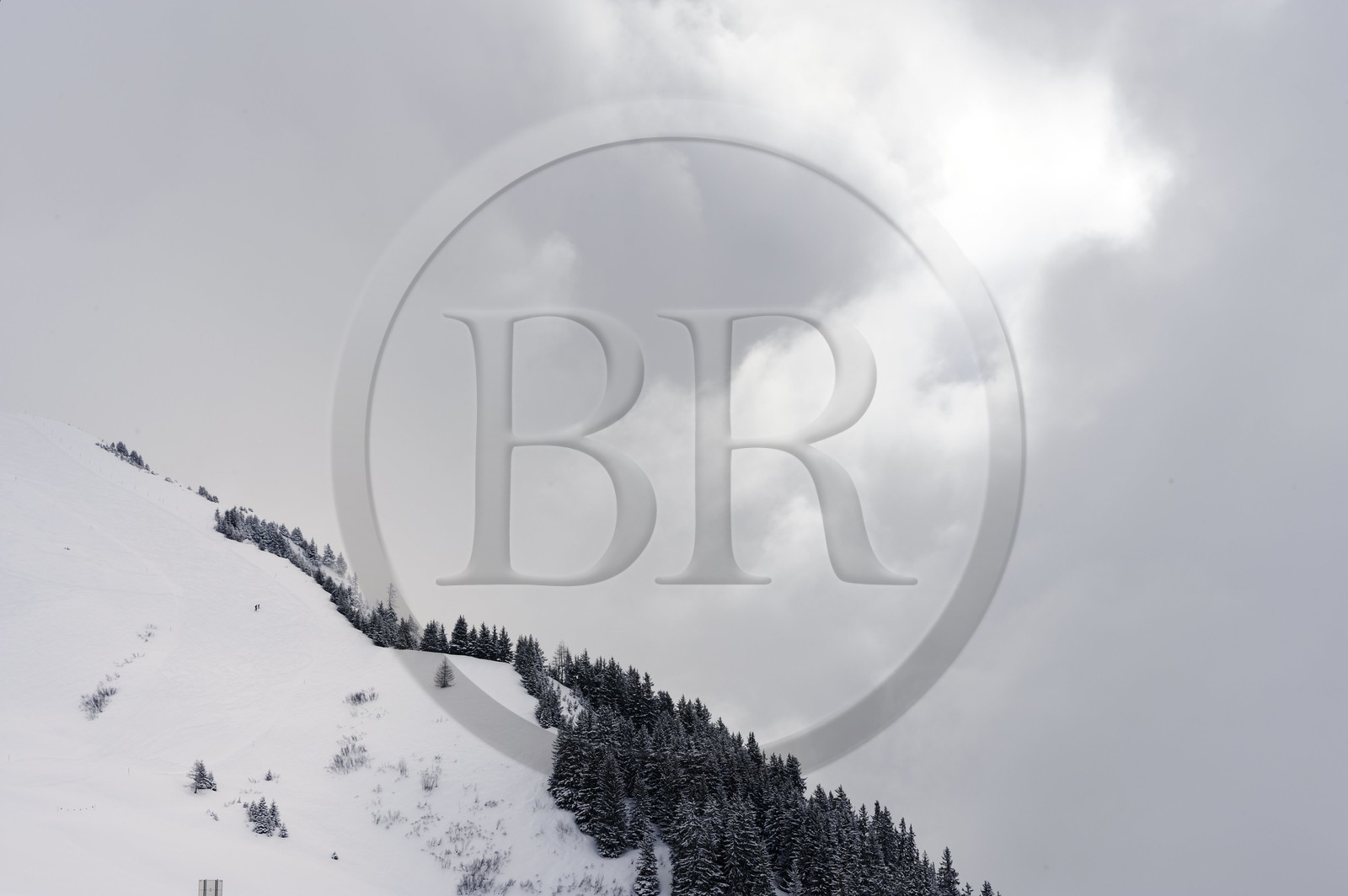 Suisse, Canton de Vaux, Domaine skiable de Villars sur Ollon -  Gryon