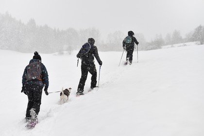 France, Haute-Savoie (74), Arâches-la-Frasse, station de ski Les Carroz d'Arâches, randonnée en raquettes