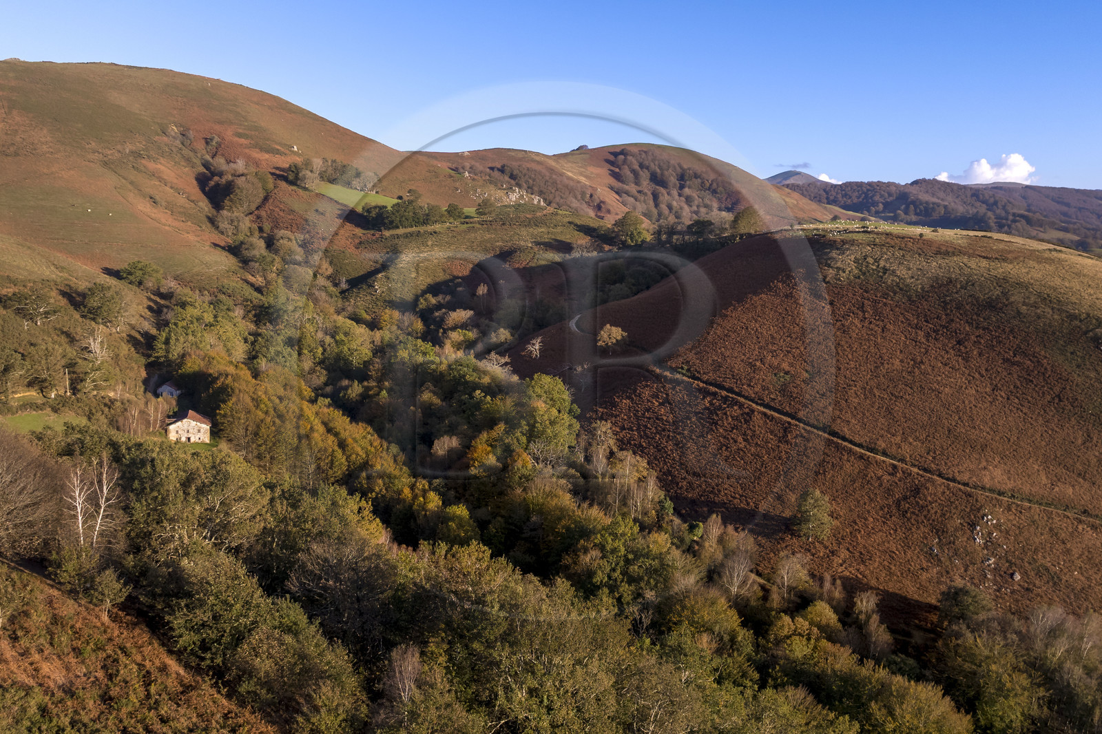 France, Pyrénées-Atlantiques (64), Pays-Basque, ferme isolée sur les hauteurs de la vallée des Aldudes (vue aérienne)