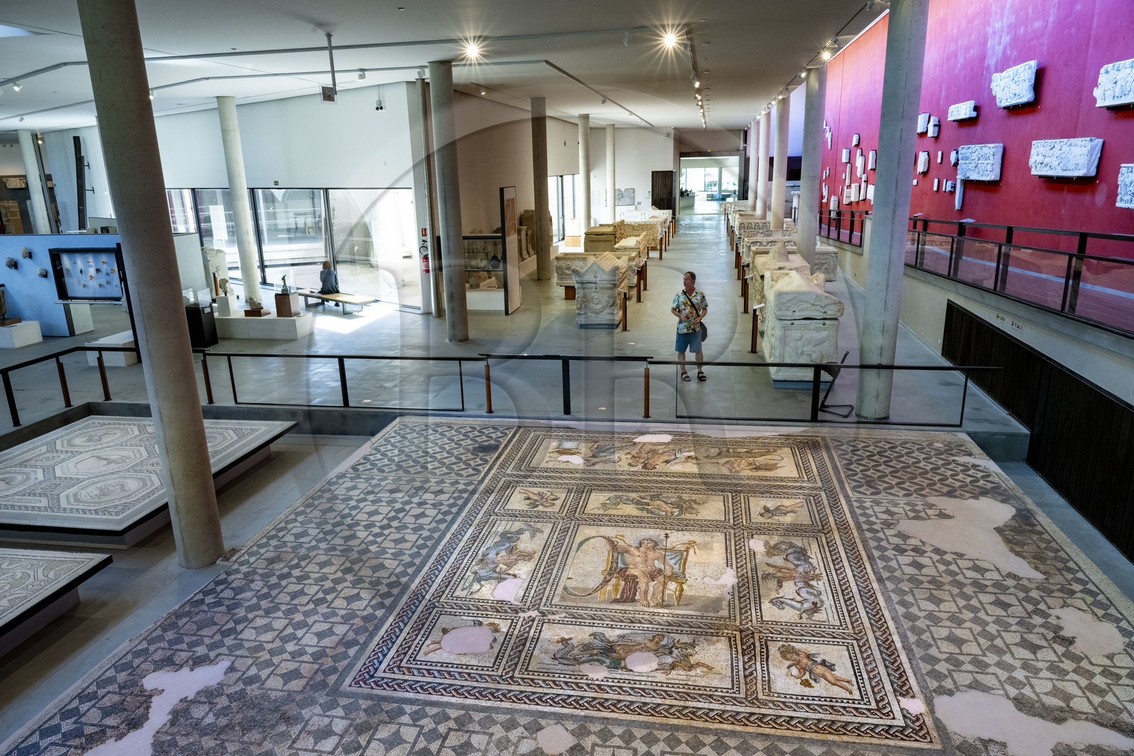 France, Bouches-du-Rhône (13), Arles, musée départemental Arles antique, détail de la mosaïque du Dieu du temps Aion (au centre) qui est le pavement de la salle à manger d'apparat d'une riche maison de ville romaine du site de l'ancienne verrerie de Trinquetaille sur la rive droite du Rhone