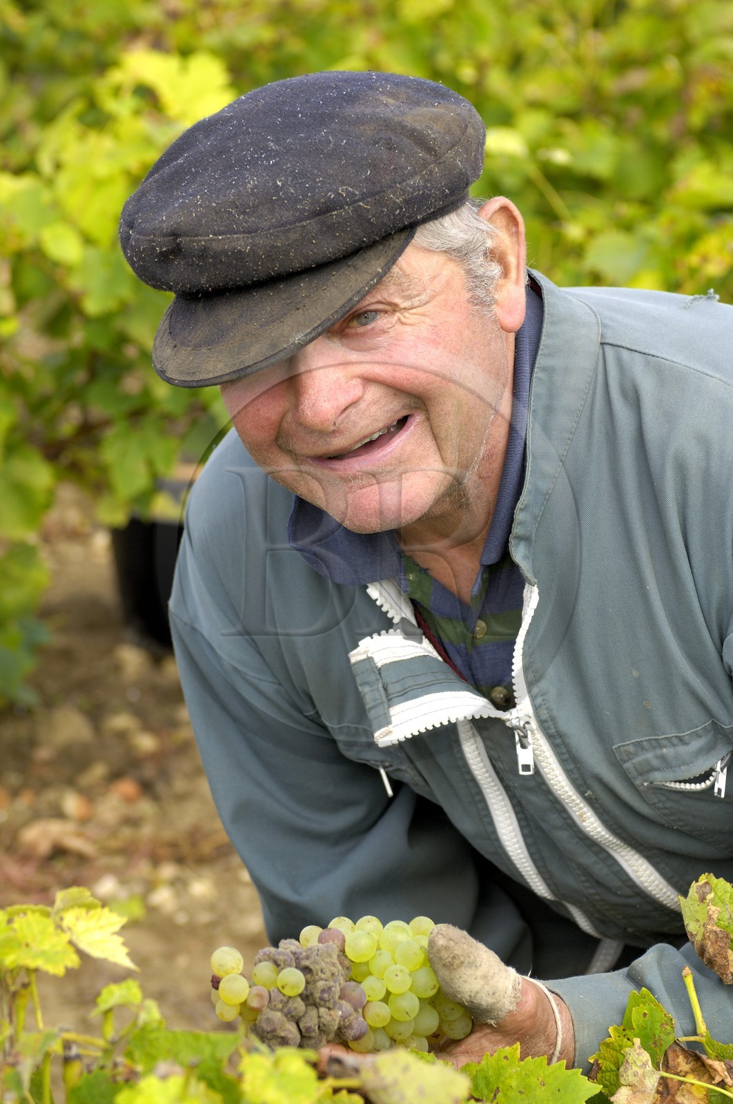 France, Charente-Maritime (17), Ile d'Oleron, le viticulteur Michel Patoizeau au Château d'Oléron