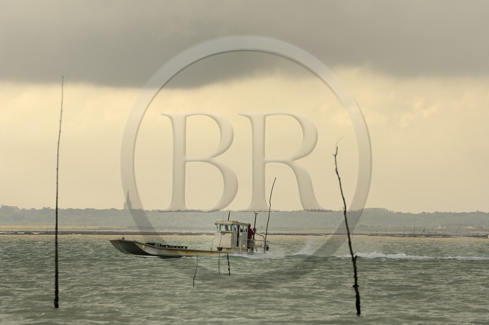France, Charente-Maritime (17), le bassin Marrennes-Oléron au large de l'Ile d'Oléron