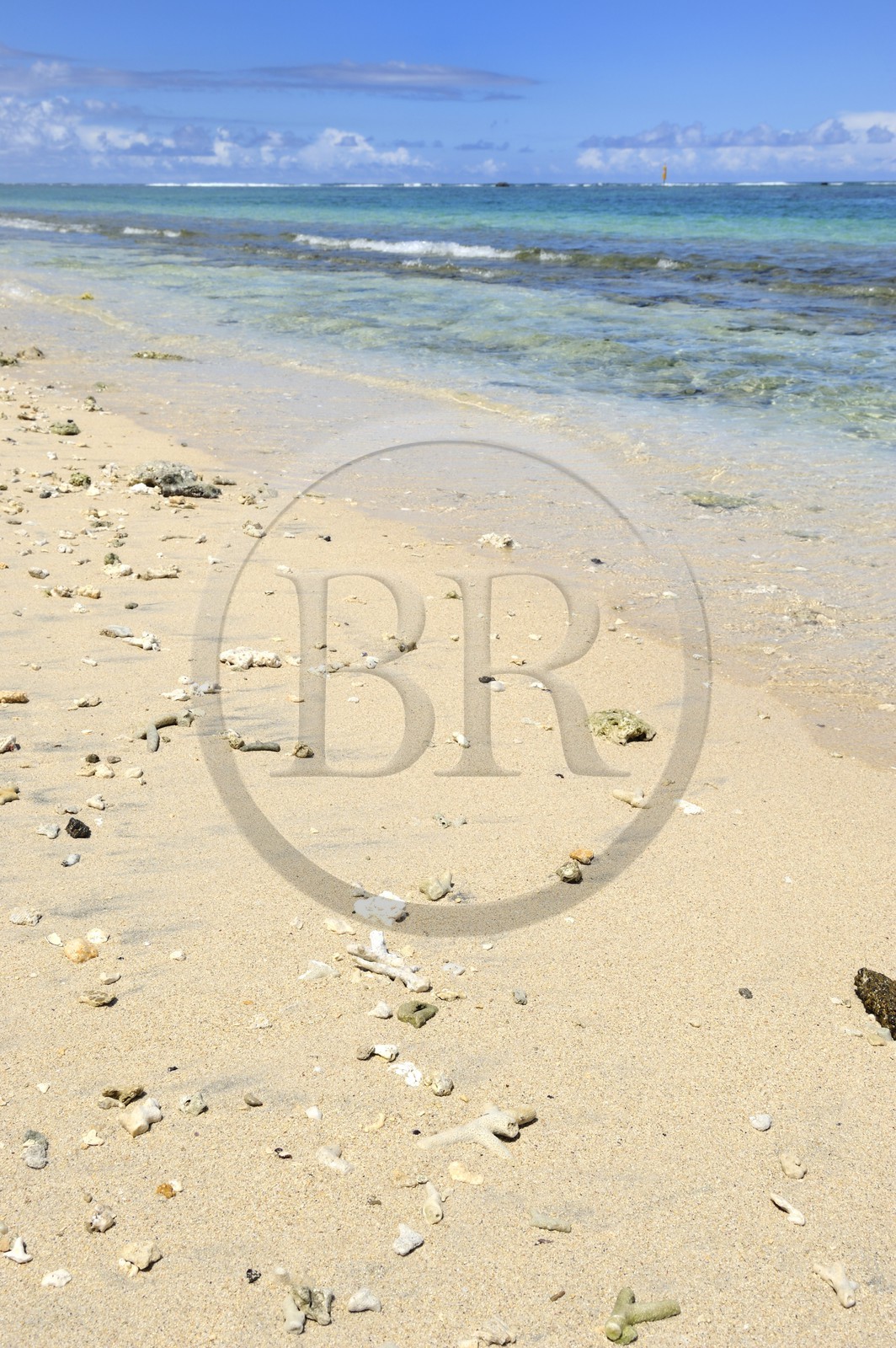 France, île de la Réunion, la Cote Ouest, plage du lagon de Saint-Gilles-Les-Bains à l'Ermitage-les-Bains