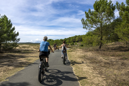 France, Charente-Maritime (17), Royan, Les Mathes, cyclistes sur la Vélodyssée, la piste cyclable EuroVelo1 qui longe l’Atlantique au nord de La Palmyre