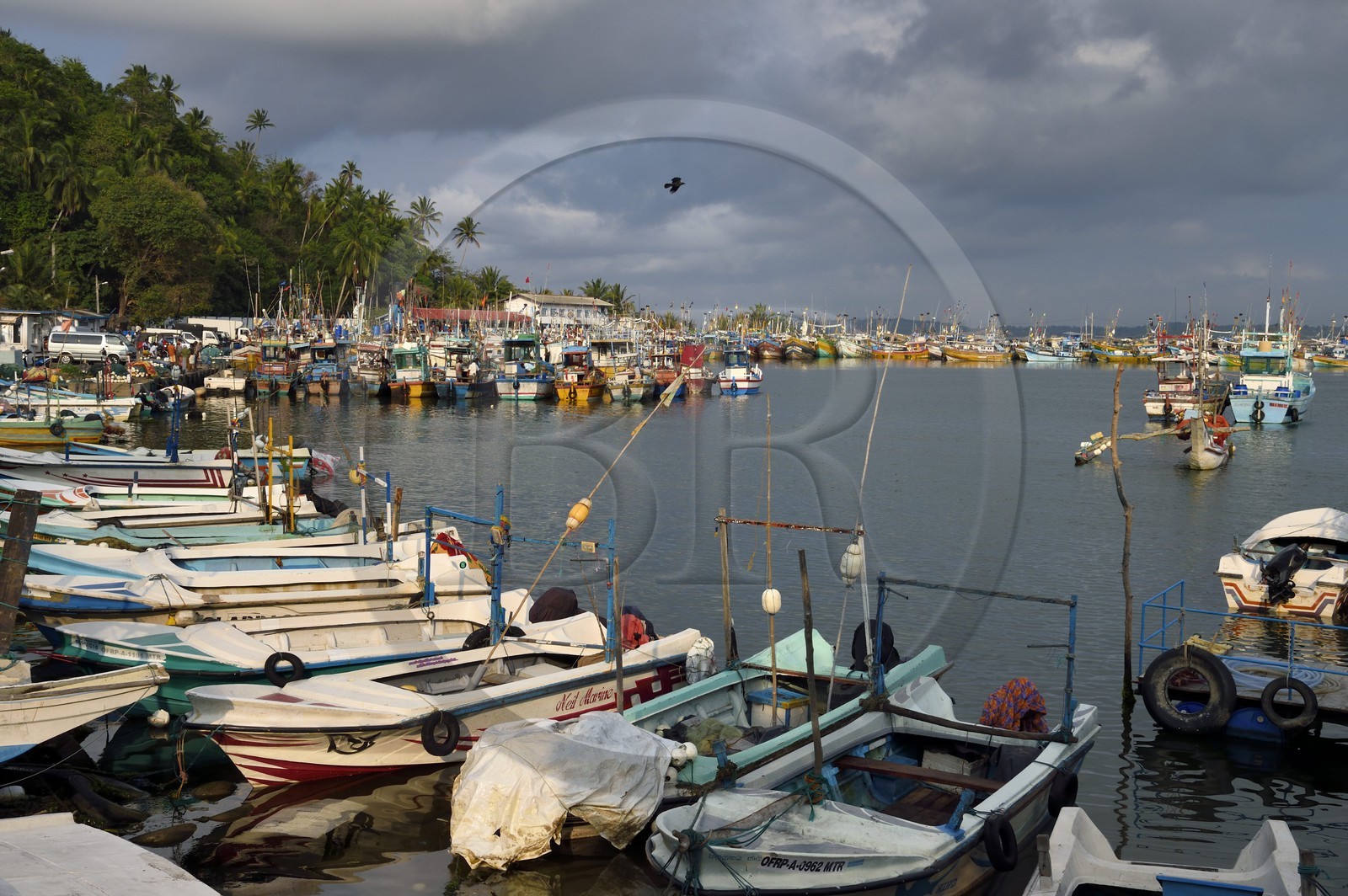 Sri Lanka, Province du Sud, Matara (district), Weligama, port de pêche de Mirissa