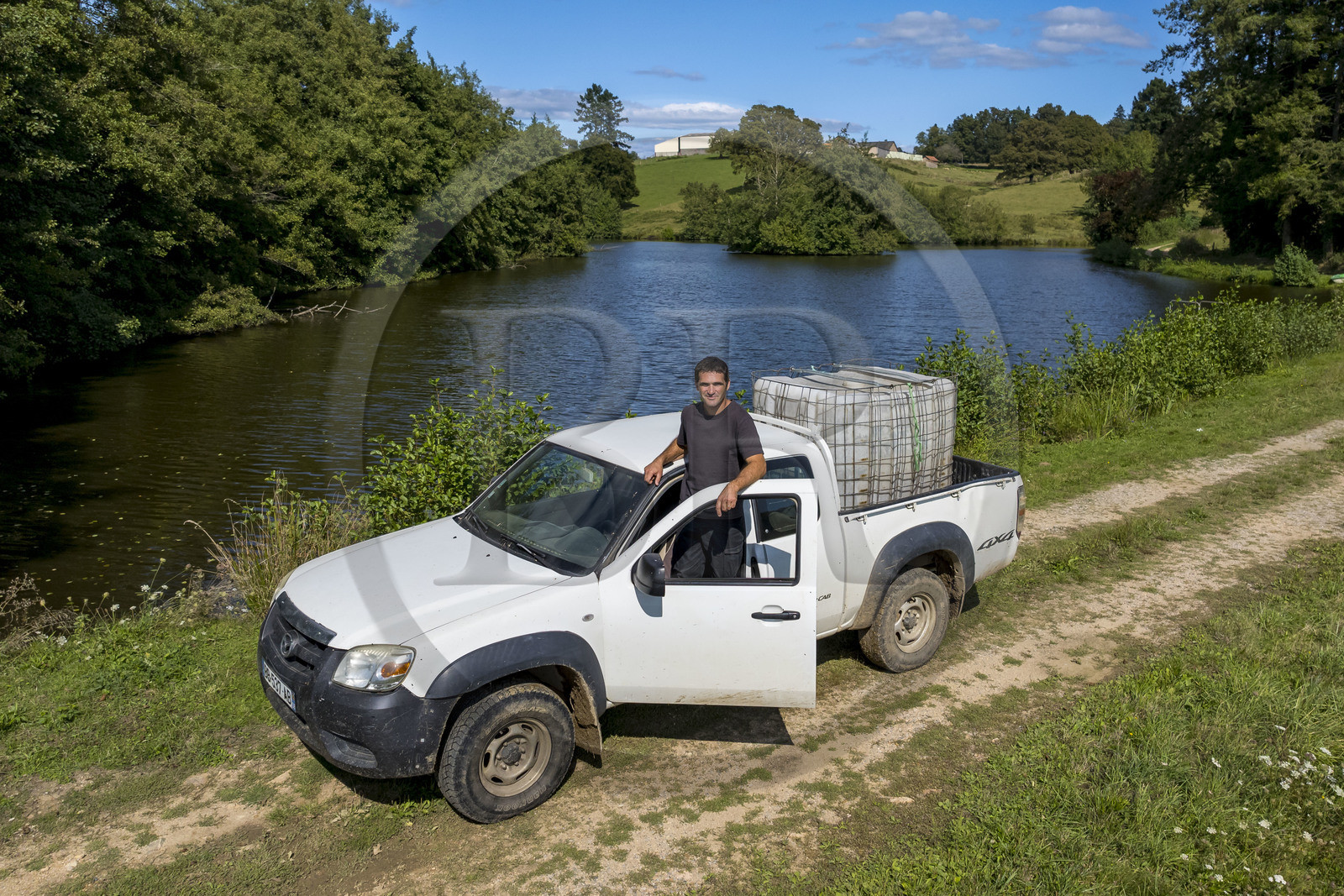 France, Nievre, Regional Natural Park of Morvan, Millay, Les Prairies Gourmandes Farm, Emmanuel Dumas, breeder of Charolais cows (aerial view)