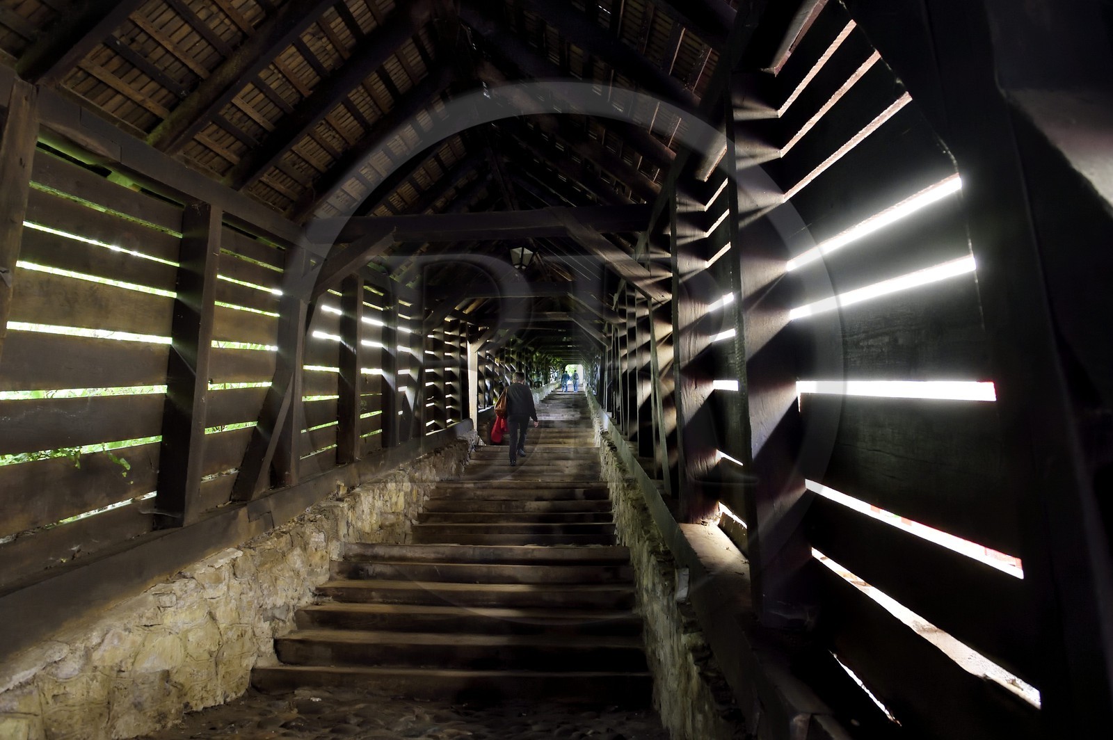 Roumanie, Transylvanie, Sighisoara, fait partie des sept villes fortifiées saxonnes de Transylvanie, classé Patrimoine Mondial de l'UNESCO, Scara scolarilor (l'escalier des écoliers), escalier couvert en bois