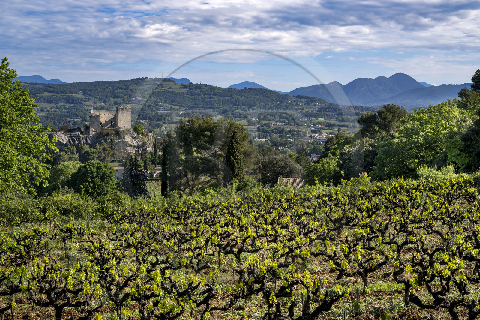 France, Vaucluse (84), Dentelles de Montmirail, Vaison-la-Romaine, vignes sur les hauteurs et le chateau des Comtes de Toulouse construit au XIIe siècle au sommet de la cité médiévale