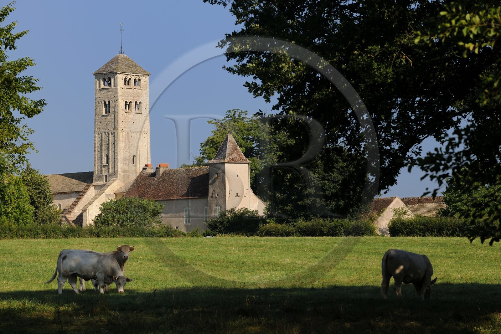 France, Saône-et-Loire (71), Chapaize, église romane Saint-Martin