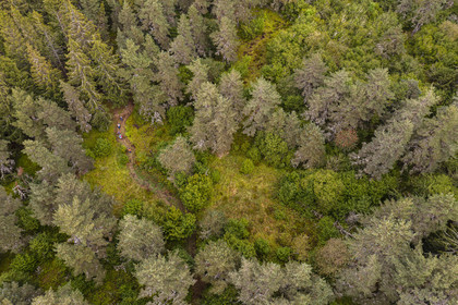 France, Cantal (15), Parc Naturel Régional des Volcans d'Auvergne, entre le bois de Chavagnac et le plateau de Chastel-sur-Murat, randonneurs sur le chemin de Saint-Jacques de Compostelle par la Via Arverna (vue aérienne)