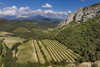 France, Vaucluse, Dentelles de Montmirail mountains, the mountain of the Dentelles Sarrasines and the terraced vineyards, Mont Ventoux in the background (aerial view)