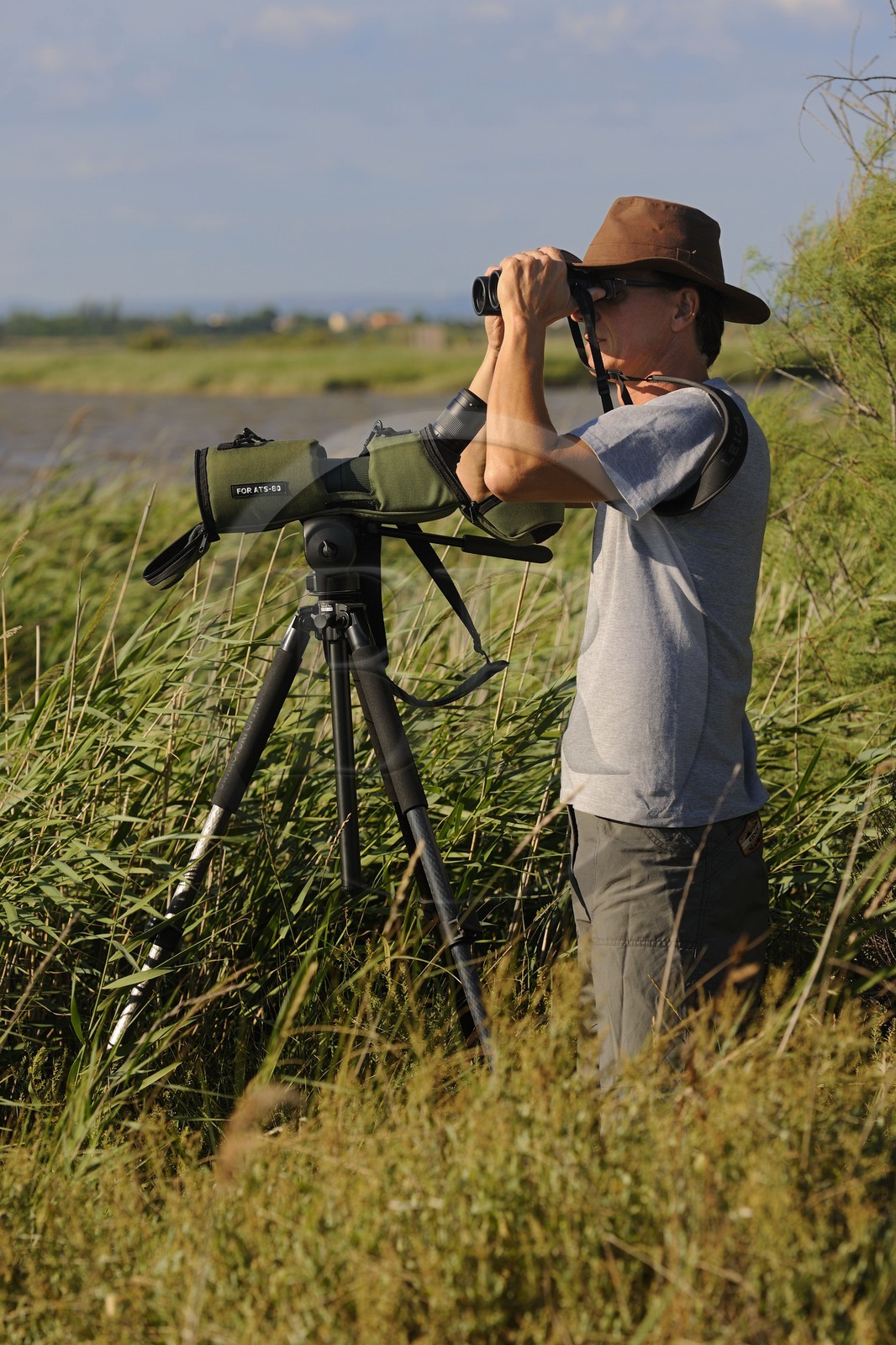 France, Hérault (34), région du Cap d'Agde, la Réserve Naturelle Nationale du Bagnas à l’ouest de l’étang de Thau, son directeur Renaud Dupuy de la Grandrive